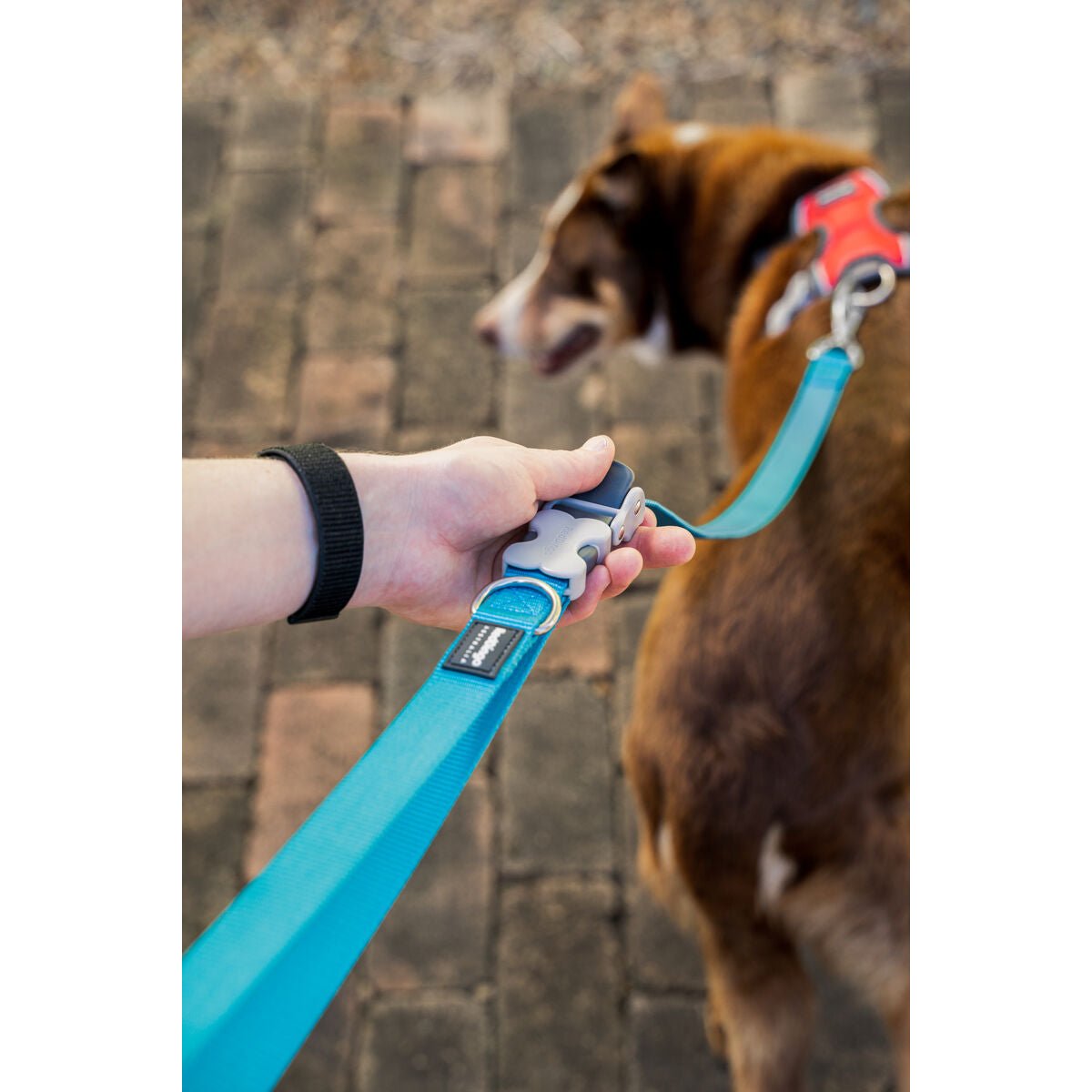 Dog Lead Red Dingo Brown - MMD NEXA