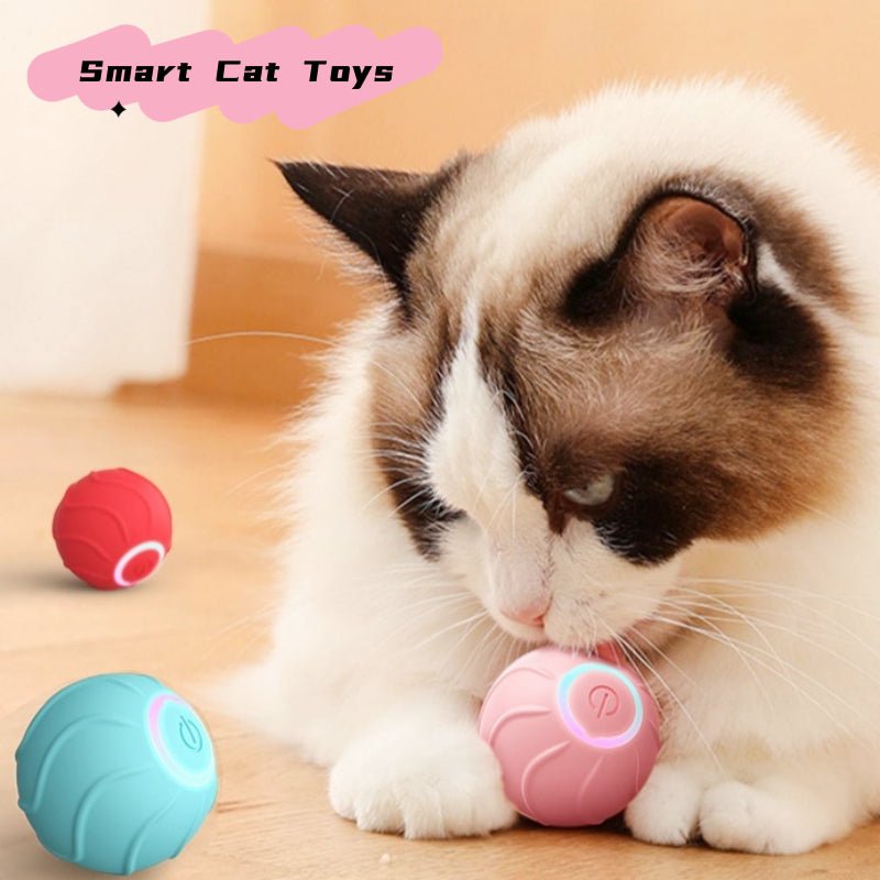 🐱 Jucărie inteligentă pentru pisici – minge automată care sare & se rostogolește (USB) - MMD NEXA